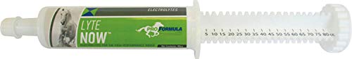 Uckele Lyte Electrolyte Paste for Horses - 3 Doses - 80 CC