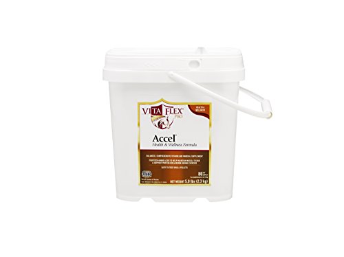Vita Flex Pro Accel Health & Wellness Formula, 5 Pound