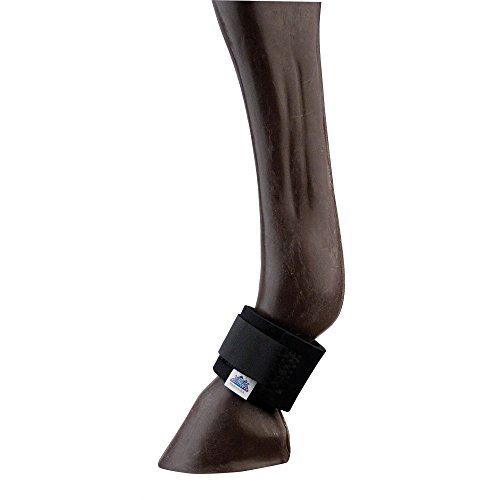 Pastern Boots Black