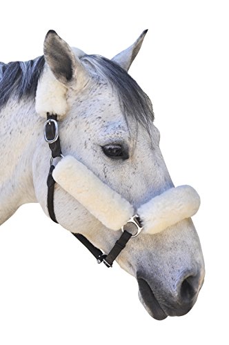 ECP Merino Sheepskin Halter Fleece Set for Horse Protection and Relief, 4 Pieces, Cream