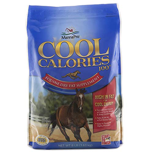 Manna Pro Cool Calories 100 | Equine Dry Fat Supplement for Healthy Weight Gain | 8 Pounds