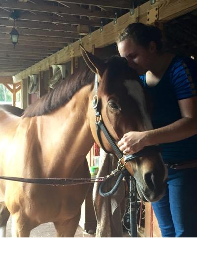 horse in cross ties 