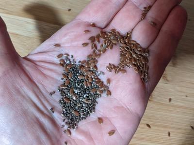 chia seeds and flax seeds in a palm