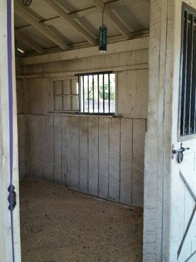 dirty stall walls