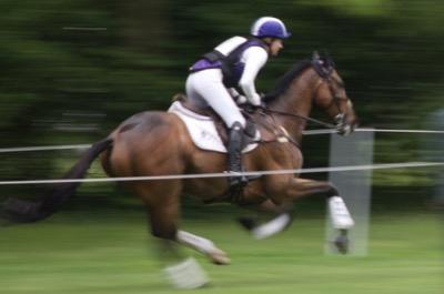 horse galloping on cross country