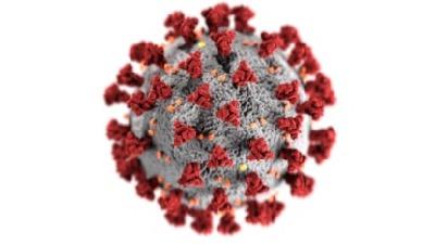 generic virus