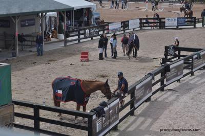groom and horse waiting in the holding area of a horse show
