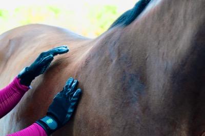 HandsOn Pet Grooming Gloves - Grooming, Bathing, and Shedding