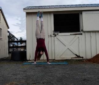 equestrian doing handstand