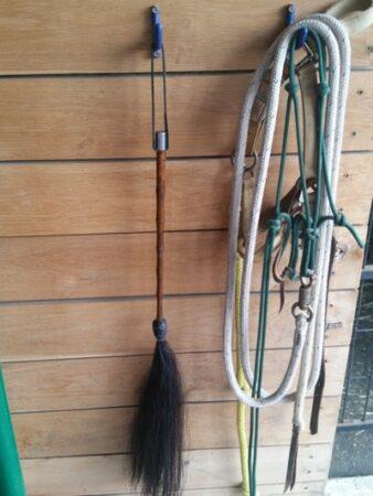 fly whisk