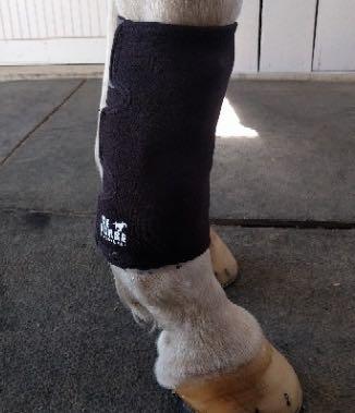 short tendon ice boots on a horse lower leg