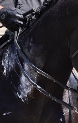 Sweaty-horse-foam
