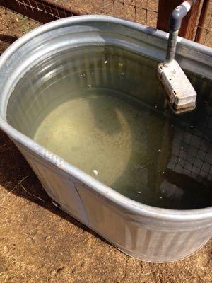 metal water trough