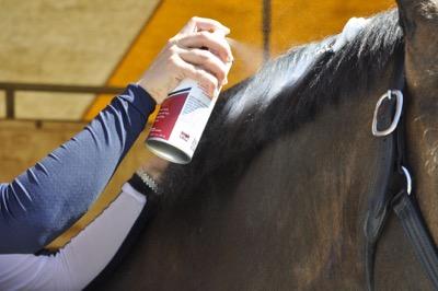 mane mousse for braiding
