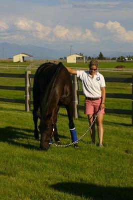 max grazing a horse