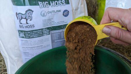 flax for horses