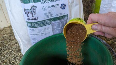 flax for horses