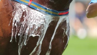 sweaty-foamy-horse