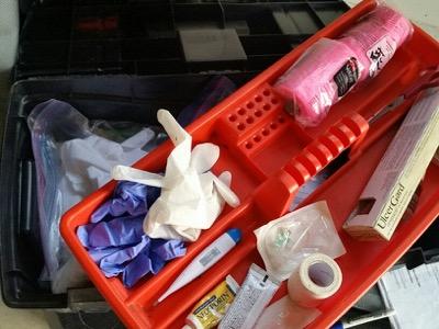 horse first aid kit