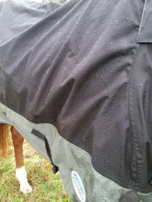 water beads on a horse blanket