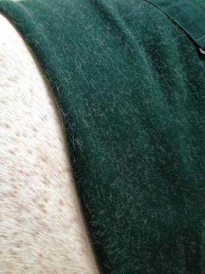 wool-cooler