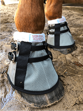 Silver Bells - Sox For Horses